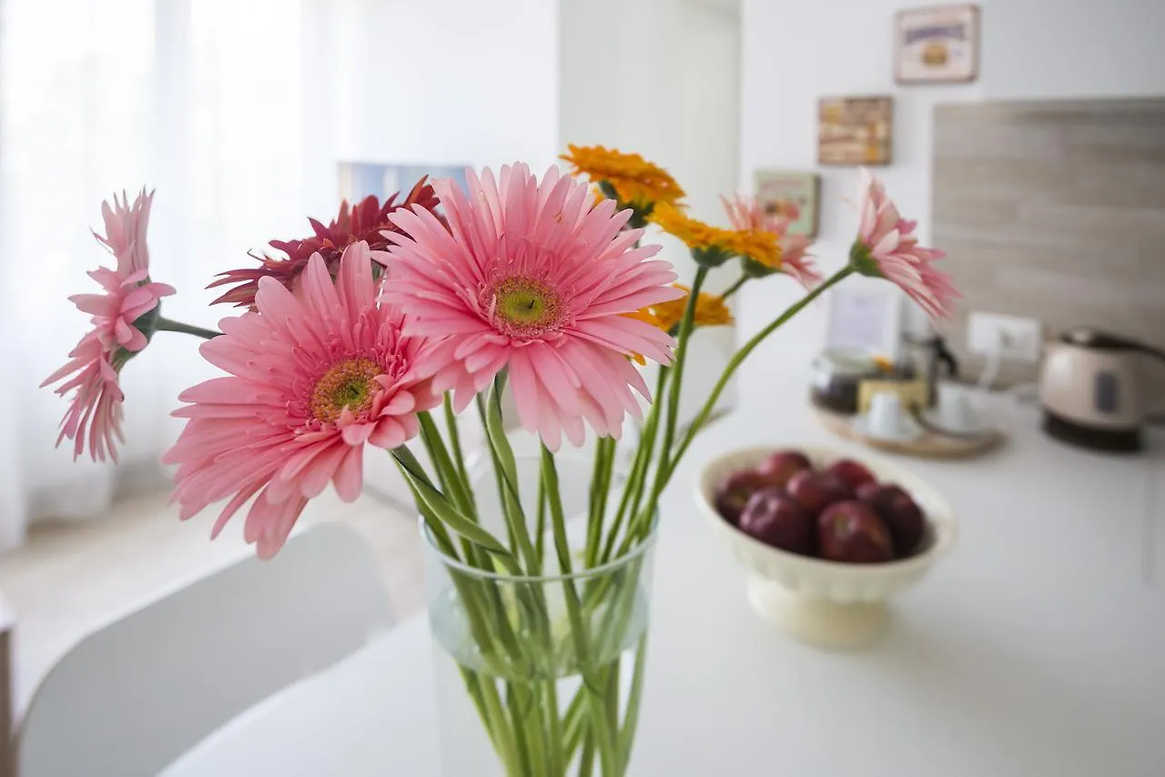 Miavia Apartments- Marconi Apartment